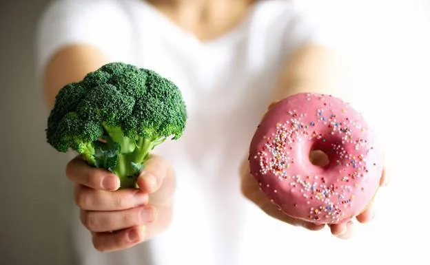 alimentos